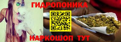 индика Азнакаево