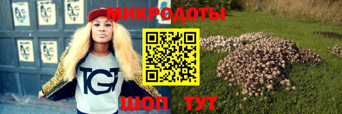 Галлюциногенные грибы ЛСД Азнакаево
